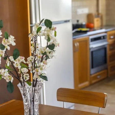 Maroni Beachfront فيلة